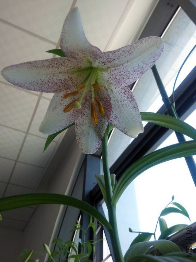 QQͼƬ20150515131907.jpg
