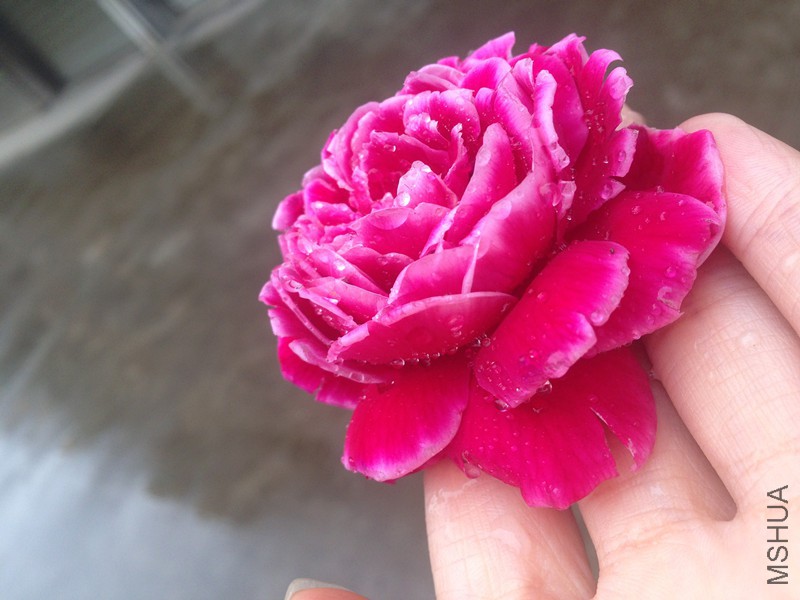 ��Ƭ 003.jpg