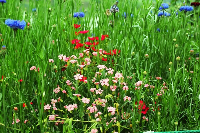 m �������� ��ɫ3.jpg