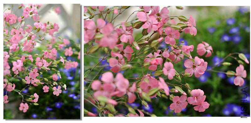 m �������� ��ɫ.jpg