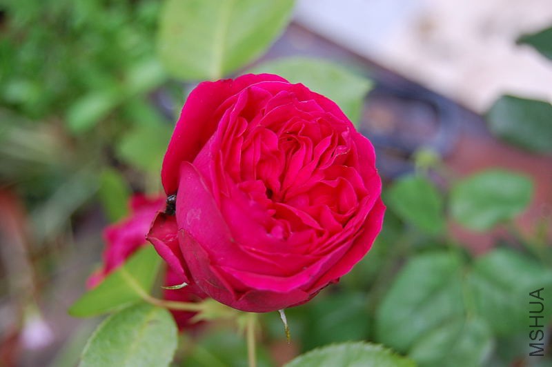 DSC_02090209.JPG