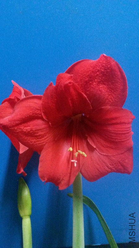 20150408_010121.jpg