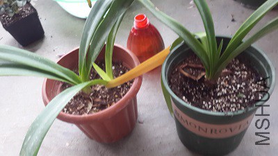 20150515_173128.jpg