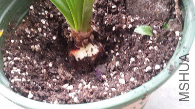20150515_173337.jpg