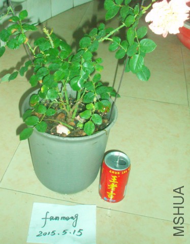 �ӻ���111.jpg