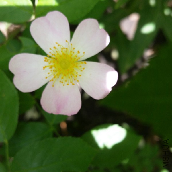 20150514_125803'.jpg