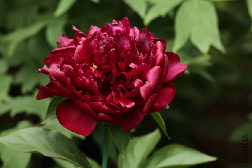 IMG_5019 15-05-04.jpg