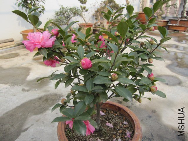 1001221553bcc4e74ed0659343 (1).jpg