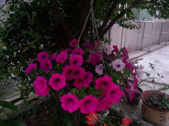 IMG20150509192640.jpg