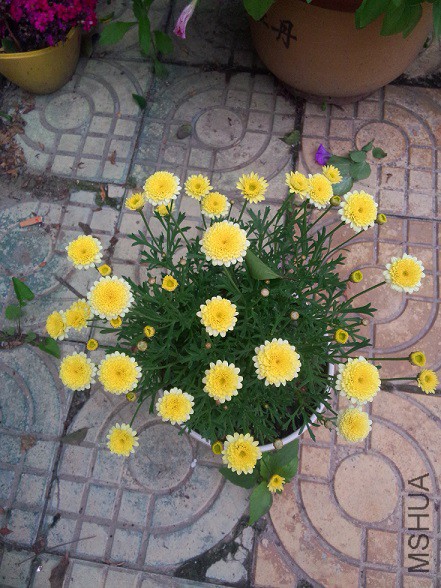 IMG20150516184122.jpg