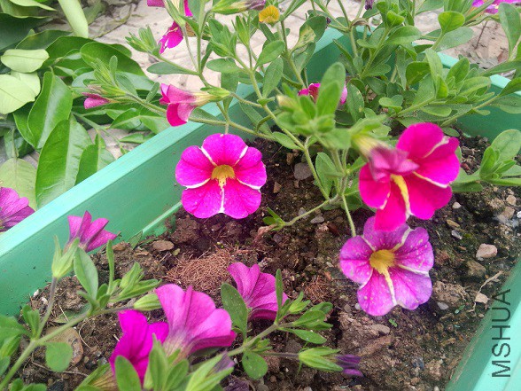 IMG20150516184149.jpg