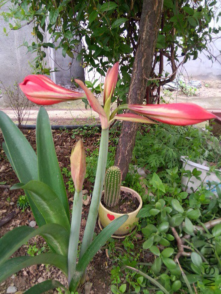 IMG20150503180709.jpg