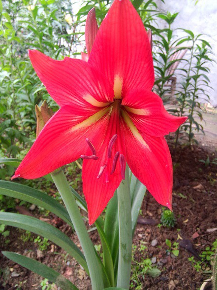 IMG20150504151124.jpg