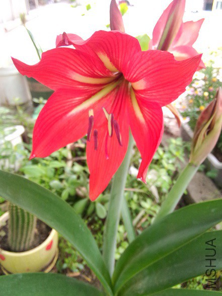 IMG20150504151145.jpg
