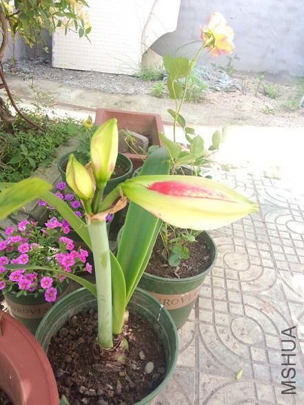 IMG20150513143657.jpg