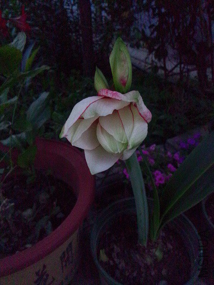 IMG20150513193755.jpg