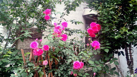 C360_2015-05-16-18-36-38-190.jpg