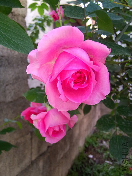 IMG20150506172040.jpg