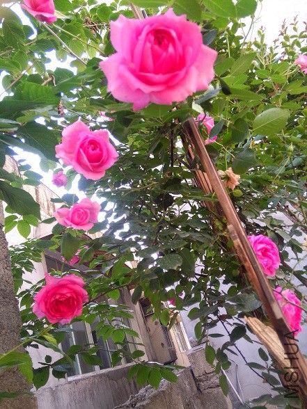 IMG20150506172116.jpg
