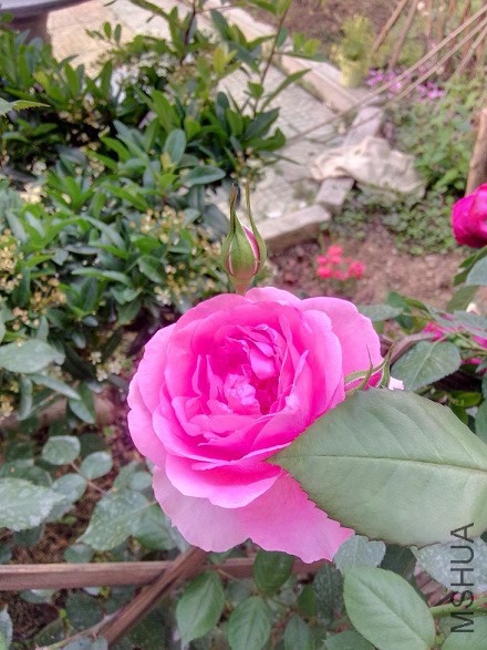 IMG20150506172455.jpg