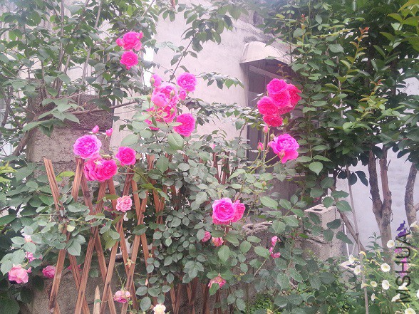 IMG20150516183728.jpg