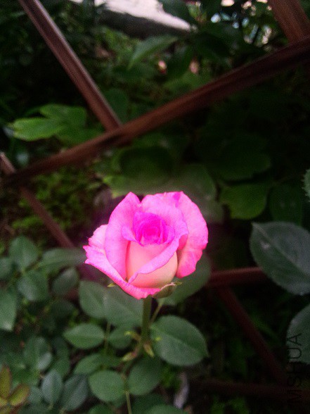 IMG20150516183836.jpg