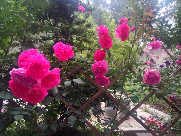 IMG20150516183857.jpg