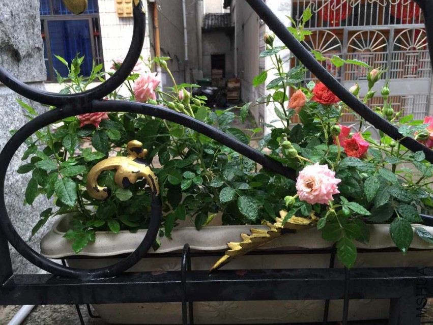 QQͼƬ20150516205843.jpg