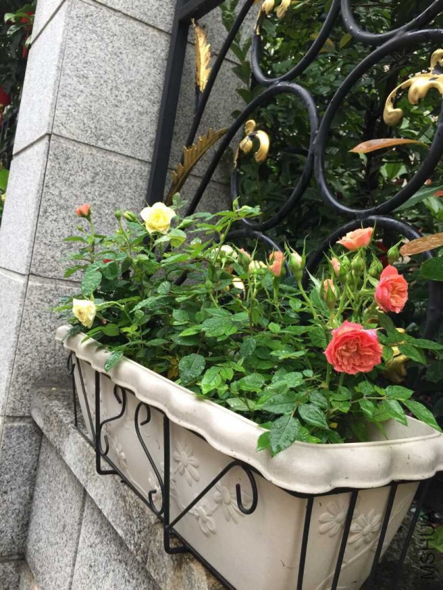 QQͼƬ20150516205940.jpg