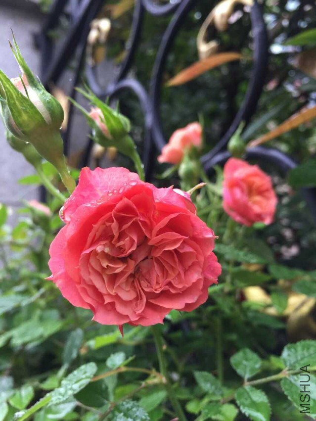QQͼƬ20150516205953.jpg