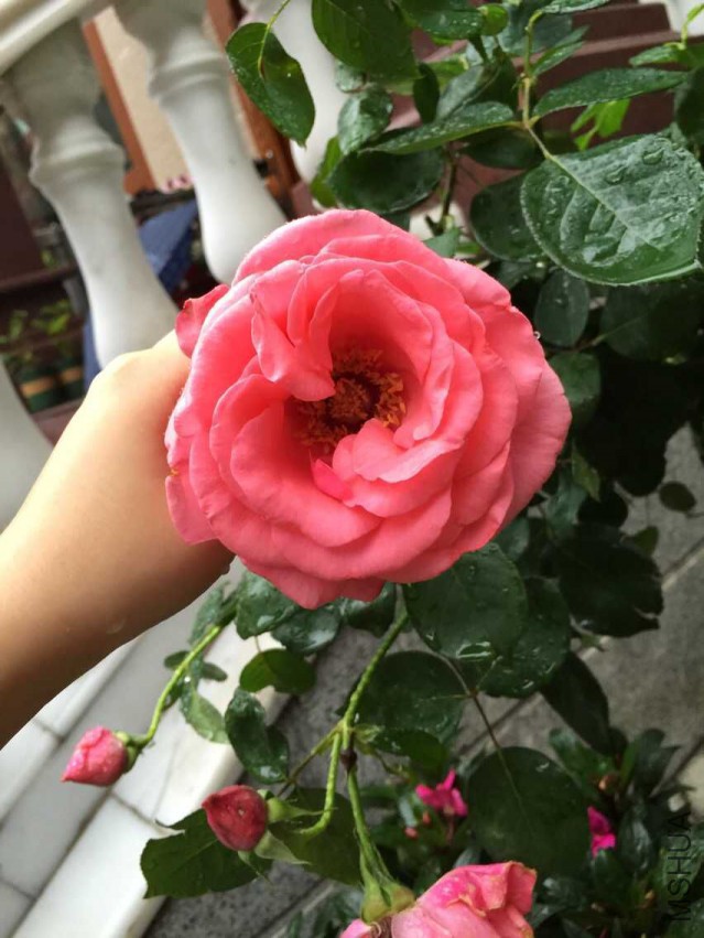 QQͼƬ20150516205935.jpg