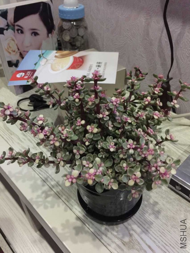 QQͼƬ20150516205826.jpg