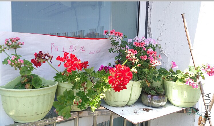 QQͼƬ20150516215031.jpg