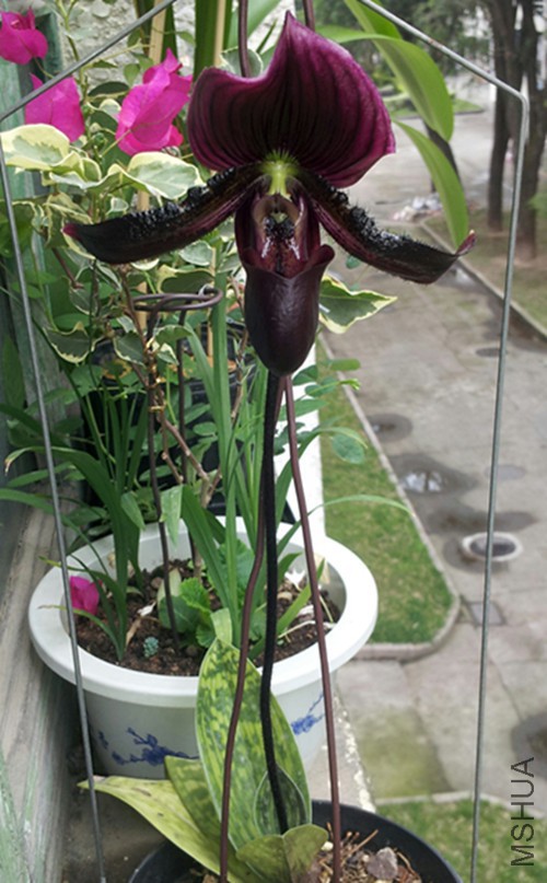 20150506_142123-1_����.jpg
