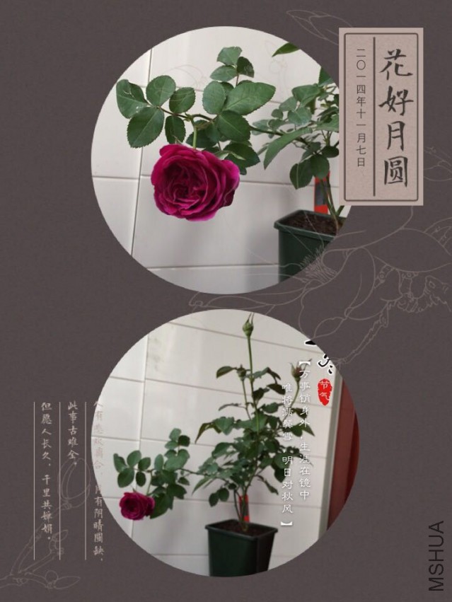 QQͼƬ20150517112742.jpg