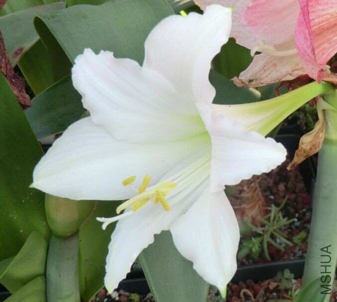 QQͼƬ20150517122137.jpg