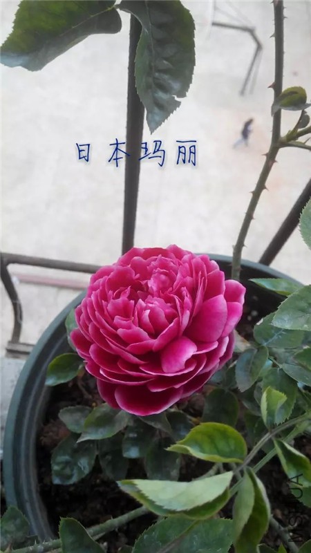 280402048.jpg