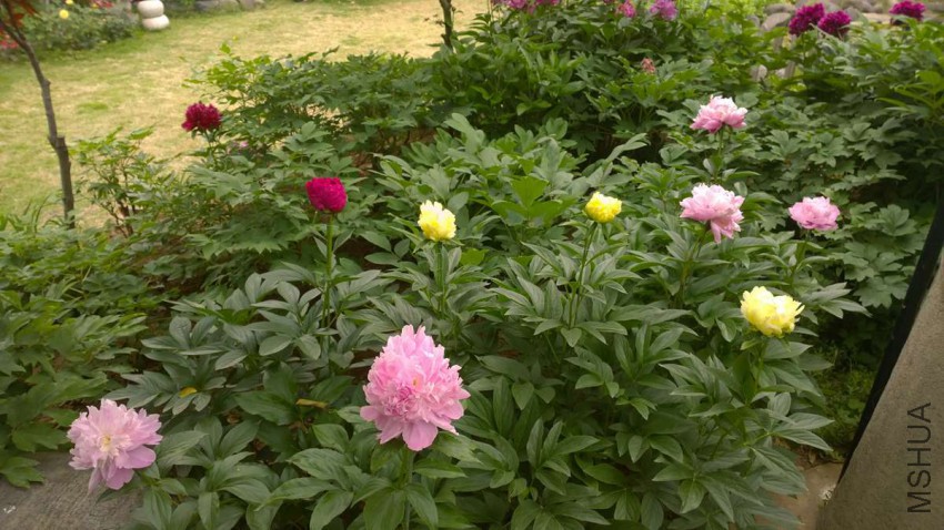 WP_20150506_09_47_54_Pro 15-05-06.jpg