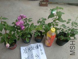 UC_Photo_095.jpg