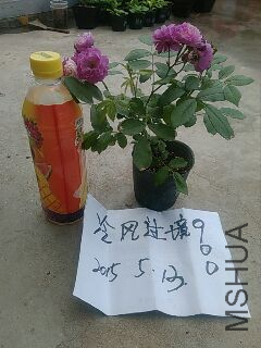 UC_Photo_096.jpg