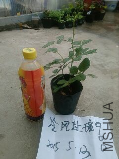 UC_Photo_097.jpg