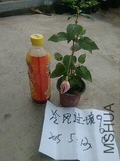 UC_Photo_098.jpg