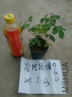 UC_Photo_099.jpg