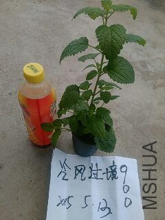 UC_Photo_100.jpg