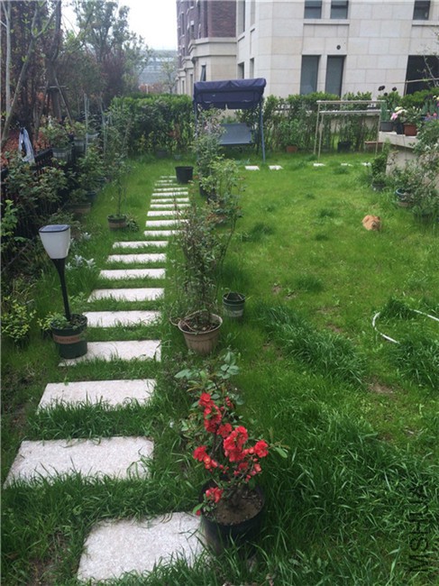 2015-04-04 135702.jpg