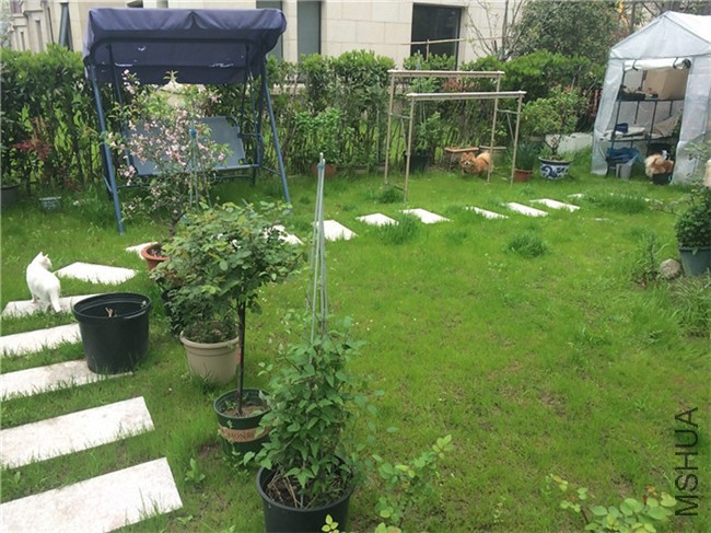 2015-04-04 140145.jpg