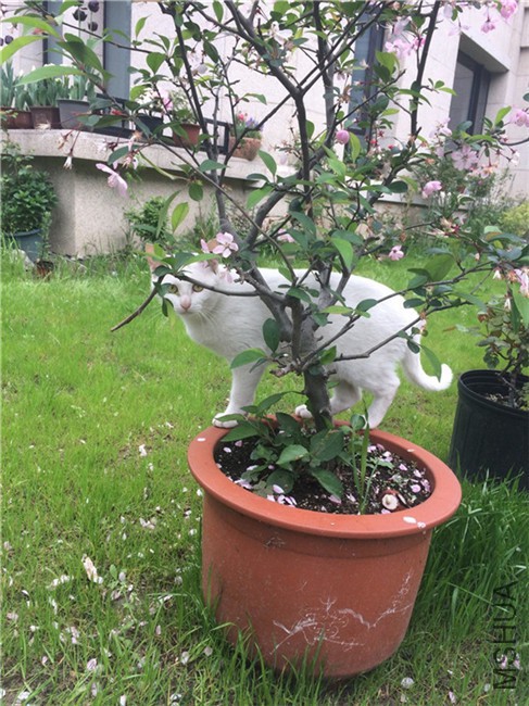 2015-04-04 140405.jpg