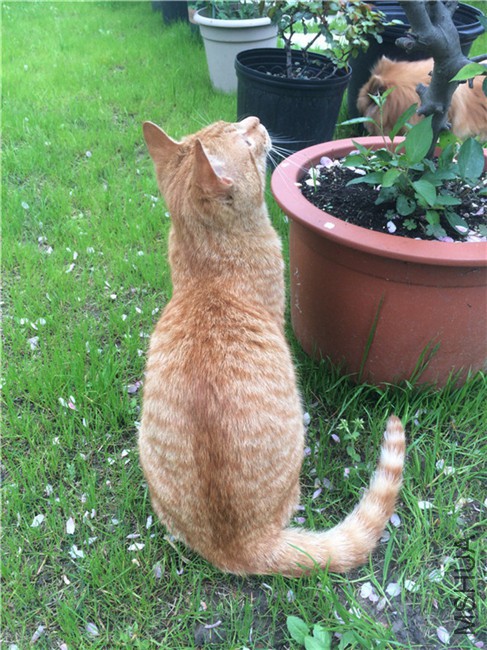 2015-04-04 140506.jpg