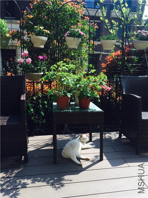 2015-04-12 134638.jpg