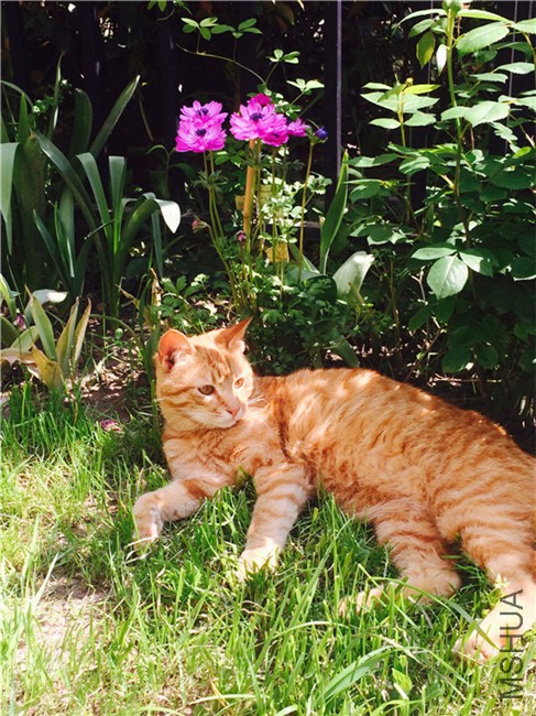 2015-04-12 135726.jpg